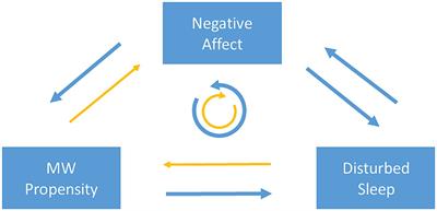 Mind wandering, poor sleep, and negative affect: a threefold vicious cycle?